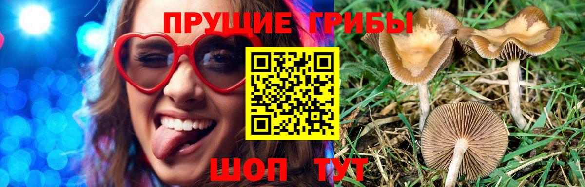 Галлюциногенные грибы Magic Shrooms Корсаков